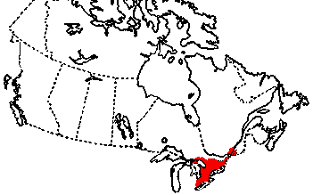 Map of Brown Snake in Canada
