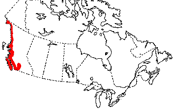 Map of Roughskin Newt in Canada