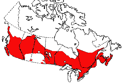 Map of Common Garter Snake in Canada