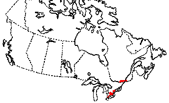 Map of Spiny Softshell in Canada