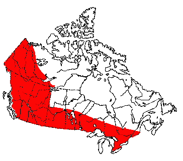 Map of Coyote in Canada