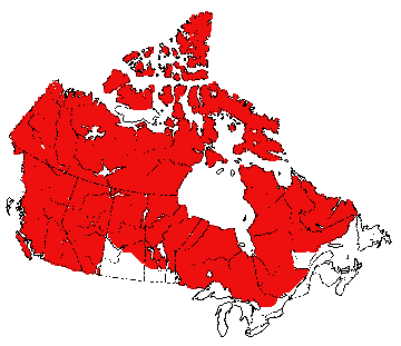 Map of Wolf in Canada