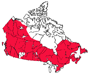 Map of American Beaver in Canada