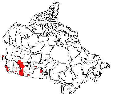 Map of Wapiti or American Elk in Canada