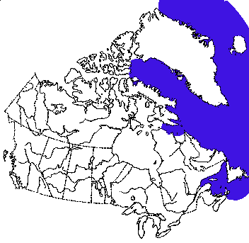 Map of Hooded Seal in Canada