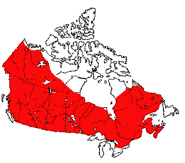 Map of American Porcupine in Canada