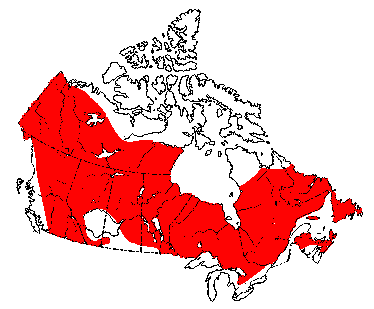 Map of Lynx in Canada