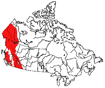 Map of Hoary Marmot in Canada