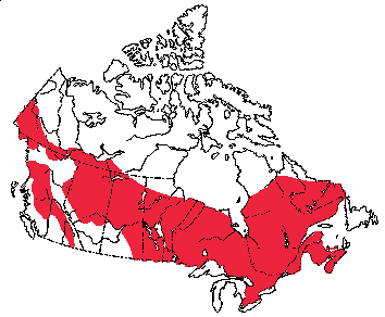 Map of Woodchuck in Canada