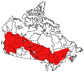 Map of Fisher in Canada
