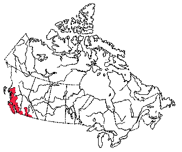 Map of Yuma Bat in Canada