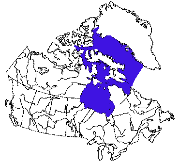 Map of Walrus in Canada