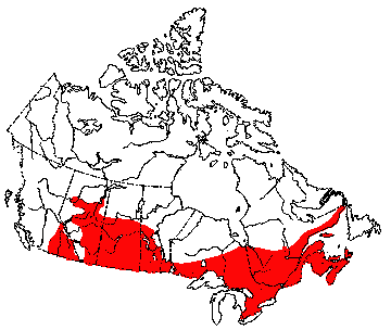 Map of White-Tailed Deer in Canada