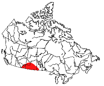 Map of Olive-Backed Pocket Mouse in Canada