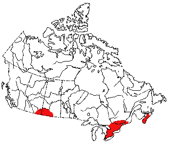 Map of White-Footed Mouse in Canada