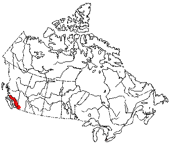 Map of Cascade Deer Mouse in Canada