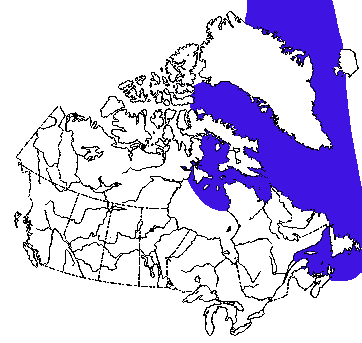 Map of Harp Seal in Canada