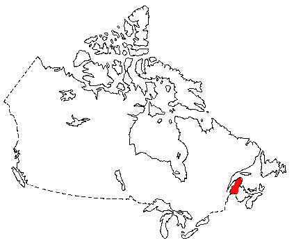 Map of Gasp Shrew in Canada
