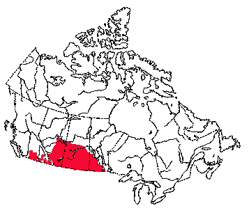 Map of Northern Pocket Gopher in Canada