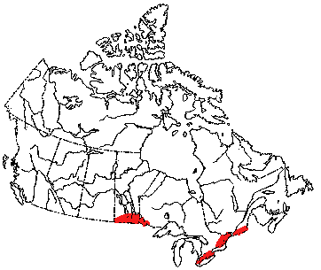 Map of Grey Fox in Canada