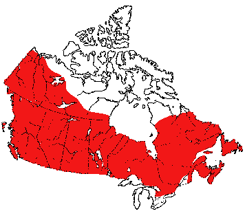 Map of American Black Bear in Canada