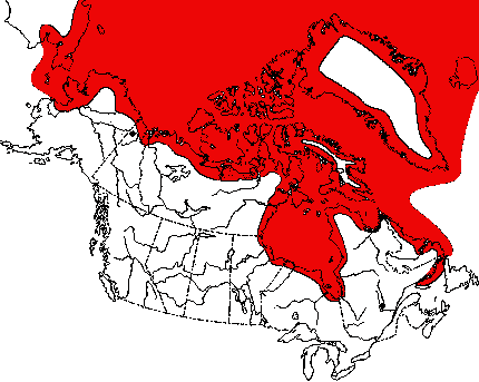 Map of Polar Bear in Canada