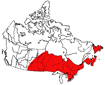 Map of Ordinary Spire Snail in Canada