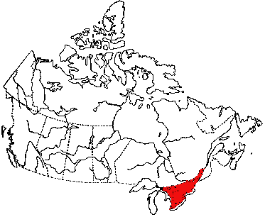 Map of Great Lakes Horn Snail in Canada