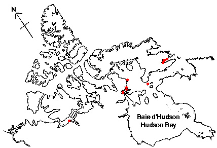 Map of <i>Lacuna glacialis</i> in Canada