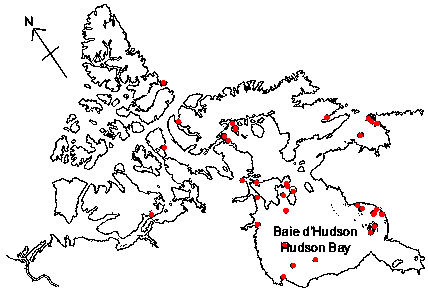 Map of <i>Lepeta caeca</i> in Canada