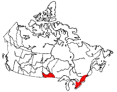 Map of Black Sand-Shell in Canada