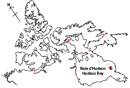 Map of <i>Lophyrochiton albus</i> in Canada