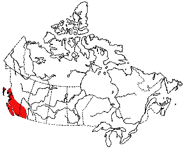 Map of Western-River Pearl Mussel in Canada