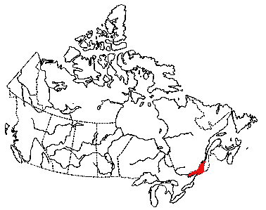 Map of Olive Hickory-Nut in Canada