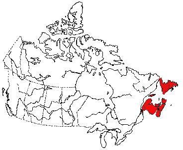 Map of Eastern Physa in Canada