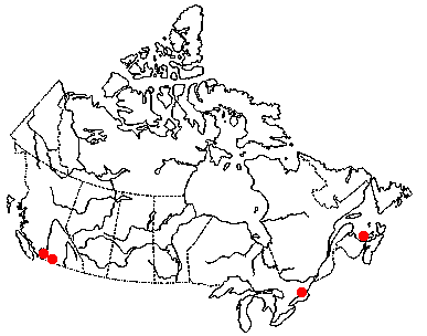 Map of Tiny Pea Clam in Canada