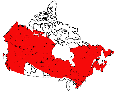 Map of Arctic-Alpine Fingernail Clam in Canada