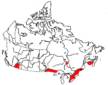Map of Herrington's Fingernail Clam in Canada