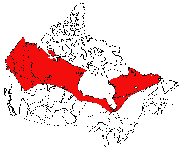 Map of Muskeg Stagnicola in Canada