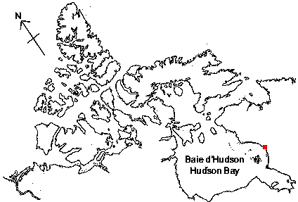 Map of <i>Thesbia nana</i> in Canada