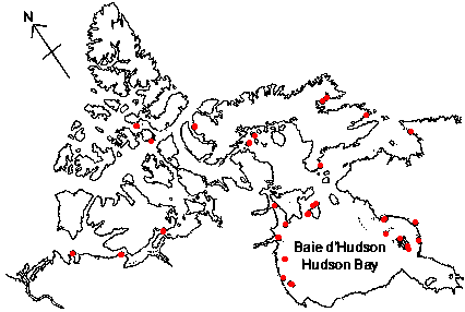 Map of <i>Tonicella marmorea</i> in Canada