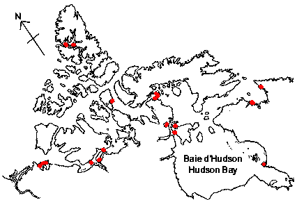 Map of <i>Velutina undata</i> in Canada