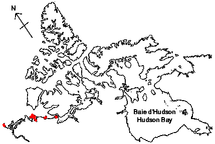 Map of <i>Volutopsius deformis</i> in Canada