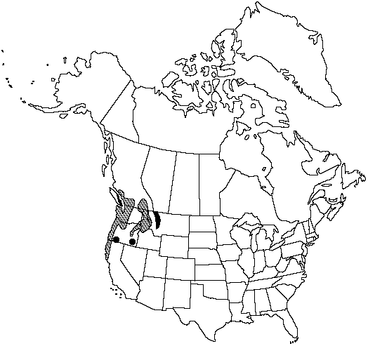 Map of Grand fir, lowland white fir in Canada