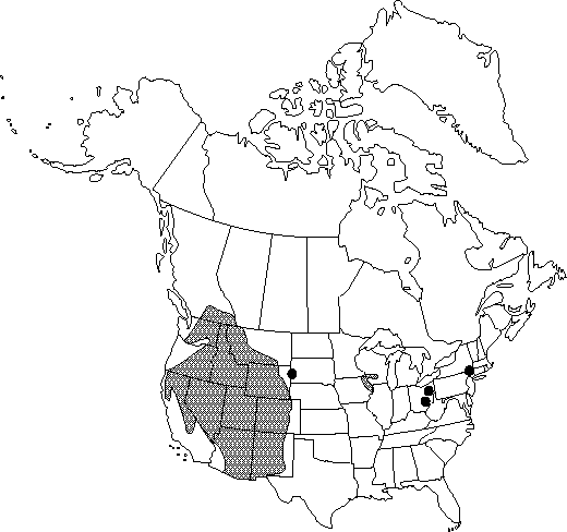 Map of <i>Aconitum columbianum  columbianum</i> in Canada