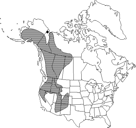 Map of Thinleaf alder, mountain alder in Canada