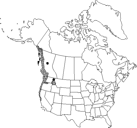 Map of Red alder, Oregon alder in Canada