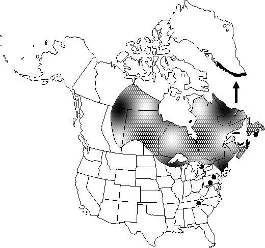 Map of Green alder, mountain alder in Canada