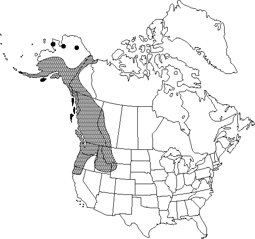 Map of Sitka alder, mountain alder in Canada