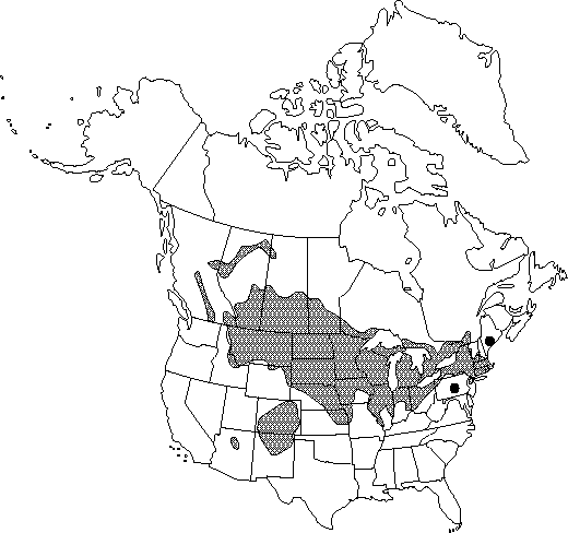 Map of Long-headed anemone, thimbleweed, candle anemone in Canada